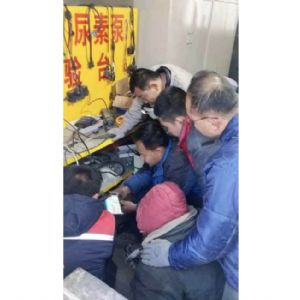尿素泵維修 